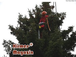 Fällung und Aufstellung des Weihnachtsbaumes für den Weihnachtsmarkt an der Berliner Gedächtniskirche
