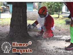 Fällung und Aufstellung des Weihnachtsbaumes für den Weihnachtsmarkt an der Berliner Gedächtniskirche