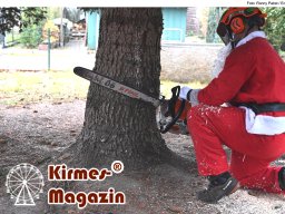 Fällung und Aufstellung des Weihnachtsbaumes für den Weihnachtsmarkt an der Berliner Gedächtniskirche