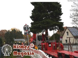 Fällung und Aufstellung des Weihnachtsbaumes für den Weihnachtsmarkt an der Berliner Gedächtniskirche