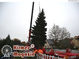 Fällung und Aufstellung des Weihnachtsbaumes für den Weihnachtsmarkt an der Berliner Gedächtniskirche