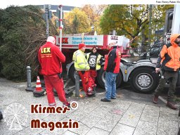 Fällung und Aufstellung des Weihnachtsbaumes für den Weihnachtsmarkt an der Berliner Gedächtniskirche