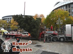 Fällung und Aufstellung des Weihnachtsbaumes für den Weihnachtsmarkt an der Berliner Gedächtniskirche