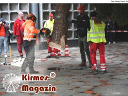 Fällung und Aufstellung des Weihnachtsbaumes für den Weihnachtsmarkt an der Berliner Gedächtniskirche