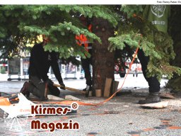 Fällung und Aufstellung des Weihnachtsbaumes für den Weihnachtsmarkt an der Berliner Gedächtniskirche